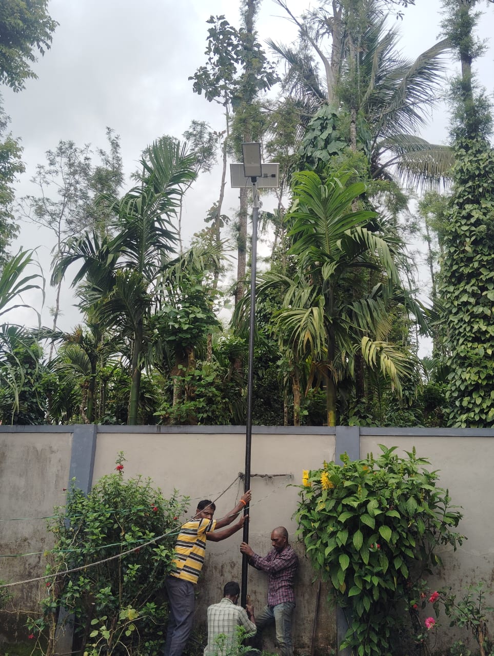 Solar Bat Street Light - Day View