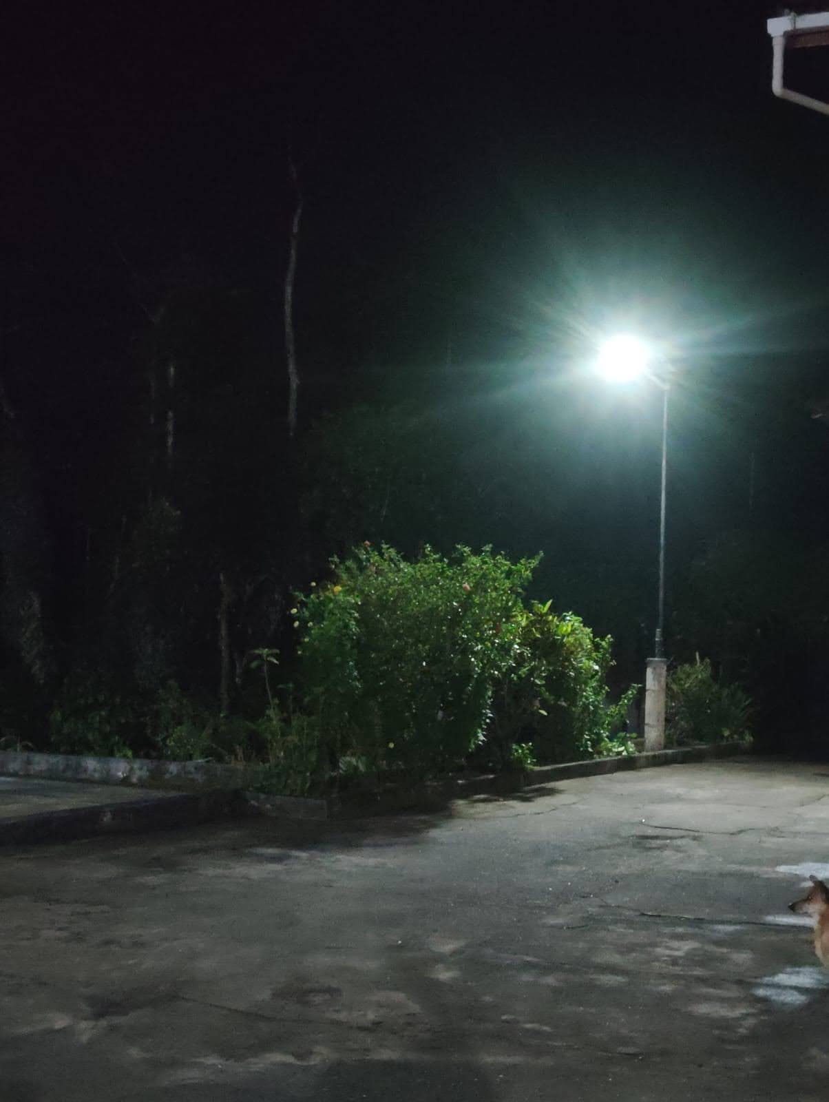 Solar Bat Street Light - Night View
